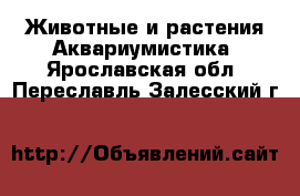 Животные и растения Аквариумистика. Ярославская обл.,Переславль-Залесский г.